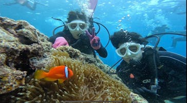 青の洞窟専門店　沖縄ダイビングショップ和に投稿された画像（2023/7/18）