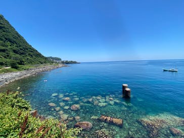 伊豆高原ダイビングスクール 渋谷店に投稿された画像（2023/7/18）