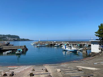 伊豆高原ダイビングスクール 渋谷店に投稿された画像（2023/7/18）