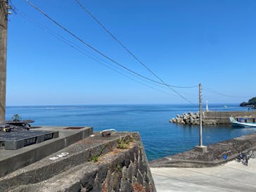 伊豆高原ダイビングスクール 渋谷店に投稿された画像（2023/7/18）