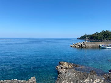 伊豆高原ダイビングスクール 渋谷店に投稿された画像（2023/7/18）