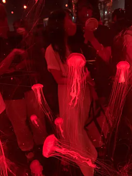 マクセル アクアパーク品川に投稿された画像（2023/7/18）