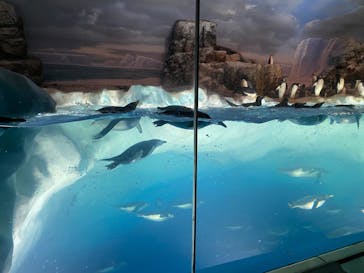 名古屋港水族館に投稿された画像（2023/7/18）
