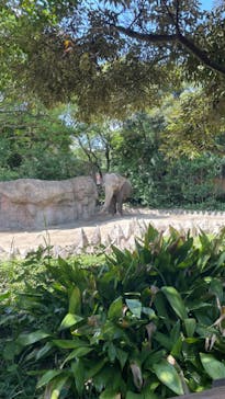 到津の森公園に投稿された画像（2023/7/18）