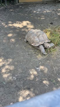 到津の森公園に投稿された画像（2023/7/18）