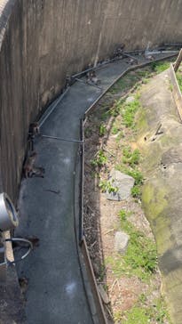 到津の森公園に投稿された画像（2023/7/18）