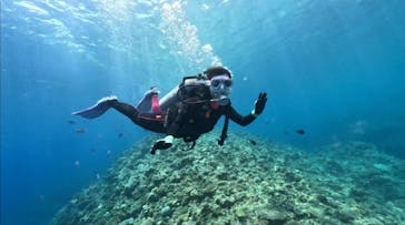 DIVING-SHOP SUNSに投稿された画像（2023/7/18）