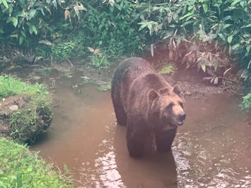 サホロリゾート　ベア･マウンテンに投稿された画像（2023/7/18）