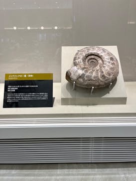 福井県立恐竜博物館に投稿された画像（2023/7/18）