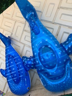 日本モンキーパークに投稿された画像（2023/7/18）