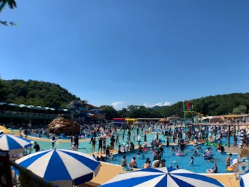 日本モンキーパークに投稿された画像（2023/7/18）