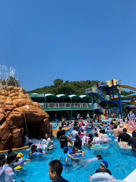 日本モンキーパークに投稿された画像（2023/7/18）