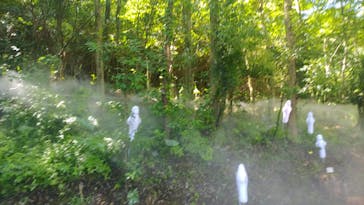 ムーミンバレーパークに投稿された画像（2023/7/18）