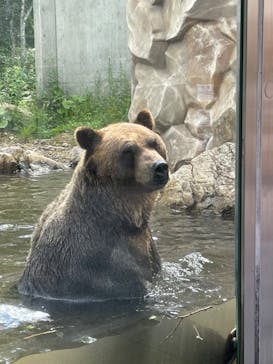 サホロリゾート　ベア･マウンテンに投稿された画像（2023/7/18）