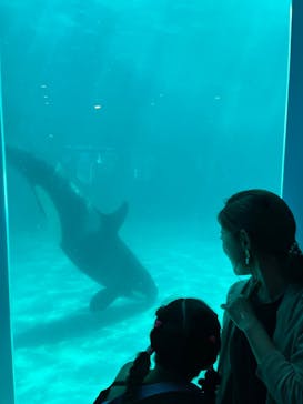 鴨川シーワールドに投稿された画像（2023/7/18）