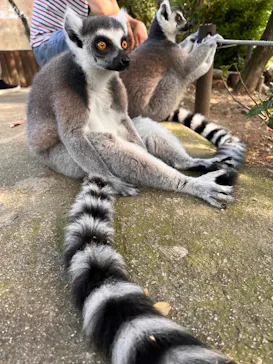 神戸どうぶつ王国に投稿された画像（2023/7/18）