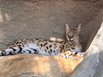 神戸どうぶつ王国に投稿された画像（2023/7/18）