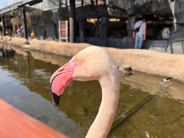 神戸どうぶつ王国に投稿された画像（2023/7/18）