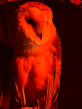 神戸どうぶつ王国に投稿された画像（2023/7/18）