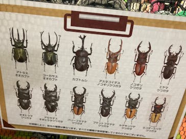 JOYPOLIS 特別イベントスペースに投稿された画像（2023/7/18）