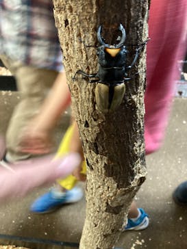 JOYPOLIS 特別イベントスペースに投稿された画像（2023/7/18）