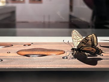 あべのハルカス美術館に投稿された画像（2023/7/18）