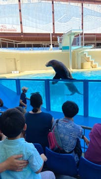 伊豆・三津シーパラダイスに投稿された画像（2023/7/18）