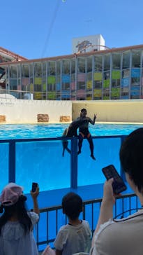 伊豆・三津シーパラダイスに投稿された画像（2023/7/18）