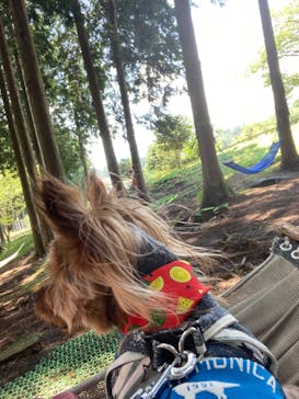 まかいの牧場に投稿された画像（2023/7/18）