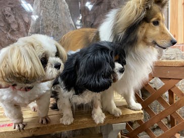 那須どうぶつ王国に投稿された画像（2023/7/18）