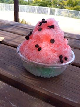 西武園ゆうえんちに投稿された画像（2023/7/18）