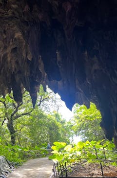 ラド観光 沖縄営業所に投稿された画像（2023/7/18）