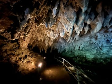 ラド観光 沖縄営業所に投稿された画像（2023/7/18）