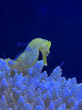 マクセル アクアパーク品川に投稿された画像（2023/7/18）