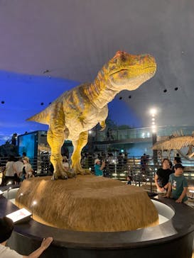 福井県立恐竜博物館に投稿された画像（2023/7/18）