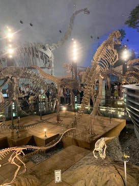 福井県立恐竜博物館に投稿された画像（2023/7/18）