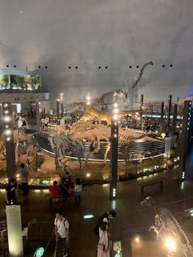 福井県立恐竜博物館に投稿された画像（2023/7/18）