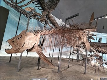 福井県立恐竜博物館に投稿された画像（2023/7/18）