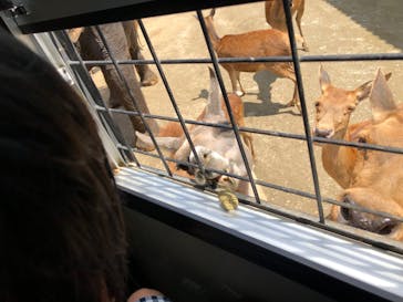 那須サファリパークに投稿された画像（2023/7/18）