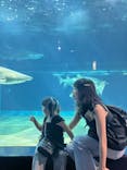 アクアワールド茨城県大洗水族館に投稿された画像（2023/7/18）