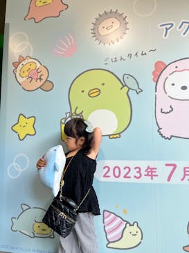 アクアワールド茨城県大洗水族館に投稿された画像（2023/7/18）