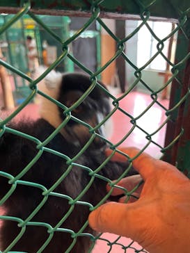 那須ワールドモンキーパークに投稿された画像（2023/7/18）