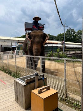 那須ワールドモンキーパークに投稿された画像（2023/7/18）