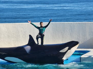 鴨川シーワールドに投稿された画像（2023/7/18）