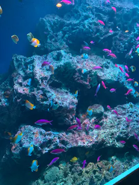 マクセル アクアパーク品川に投稿された画像（2023/7/18）