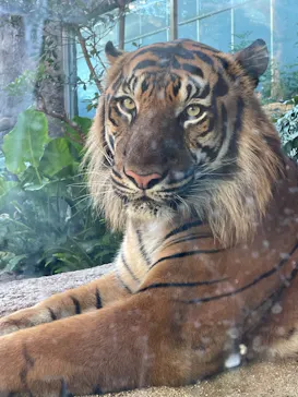 神戸どうぶつ王国に投稿された画像（2023/7/18）