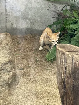 神戸どうぶつ王国に投稿された画像（2023/7/18）