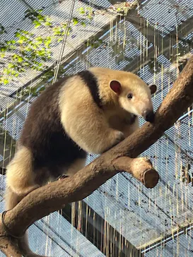 神戸どうぶつ王国に投稿された画像（2023/7/18）