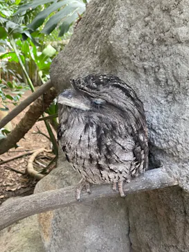 神戸どうぶつ王国に投稿された画像（2023/7/18）