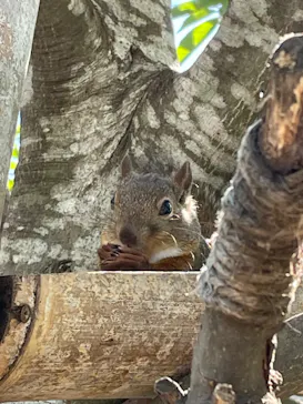 神戸どうぶつ王国に投稿された画像（2023/7/18）